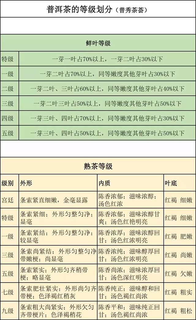 茶葉沖泡快速入門指南，你收藏了嗎？