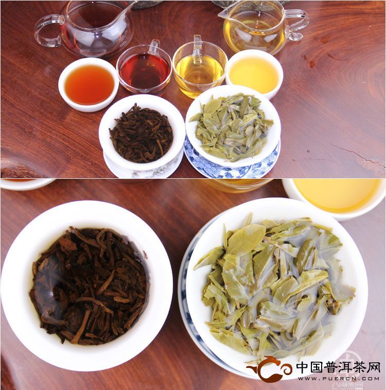 普洱生茶和熟茶哪個(gè)好喝