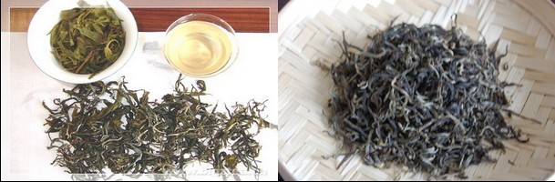 古樹(shù)茶和臺(tái)地茶的區(qū)別與品味