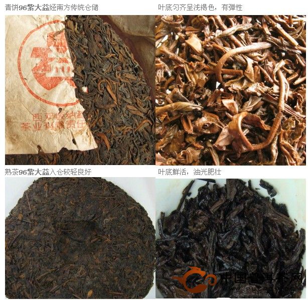 和普洱老泥一起學(xué)習(xí)普洱茶（7）：品鑒中生代