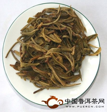 冰島古樹茶：中國(guó)傳統(tǒng)茶樹良種