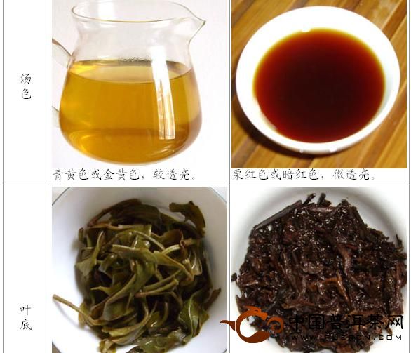 過年買普洱茶送禮，簡單教你辨別生熟