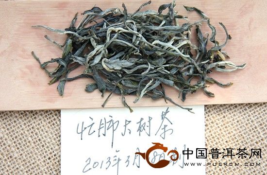 2013年的忙肺早春茶開湯