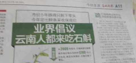 【商家微語】普洱茶一頭連接著前塵往事