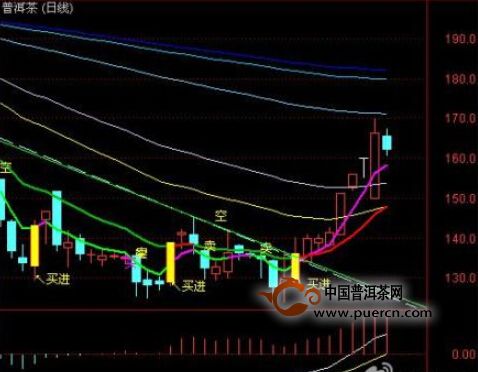 【商家微語】普洱茶（CT007）投資分析普洱茶8月27號(hào)止跌