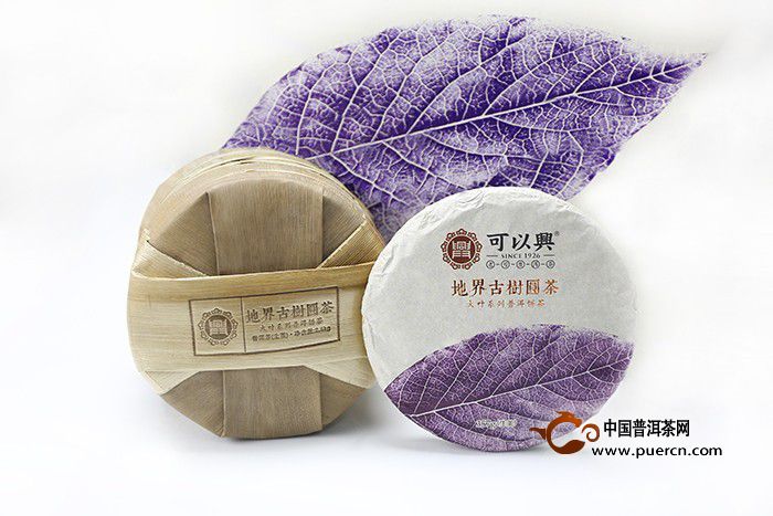 可以興地界古樹(shù)圓茶品評(píng)