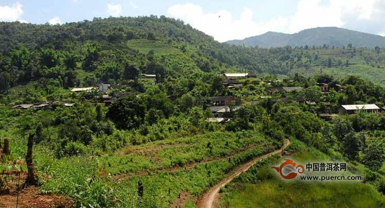 普洱茶村寨之巴貴村