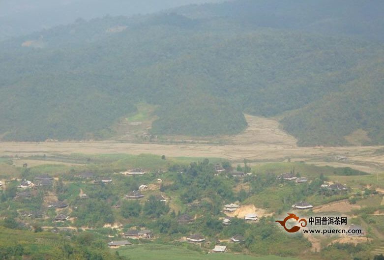 普洱茶村寨之賀開廣岡村