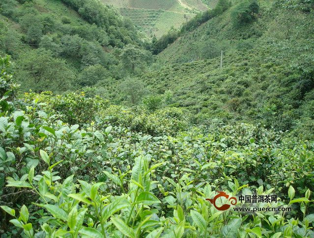 幫崴村村情概況