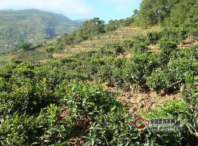 民福村村情概況