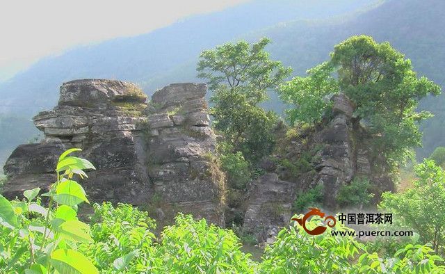 岔河村村情概況