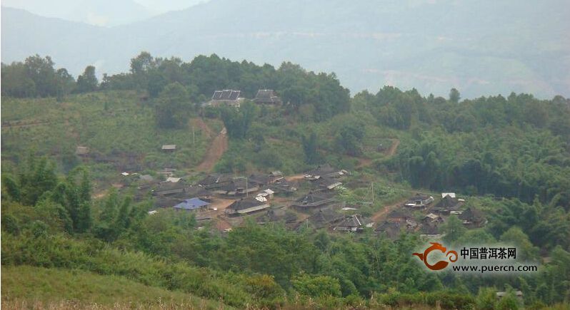 普洱茶村寨之曼帕勒自然村