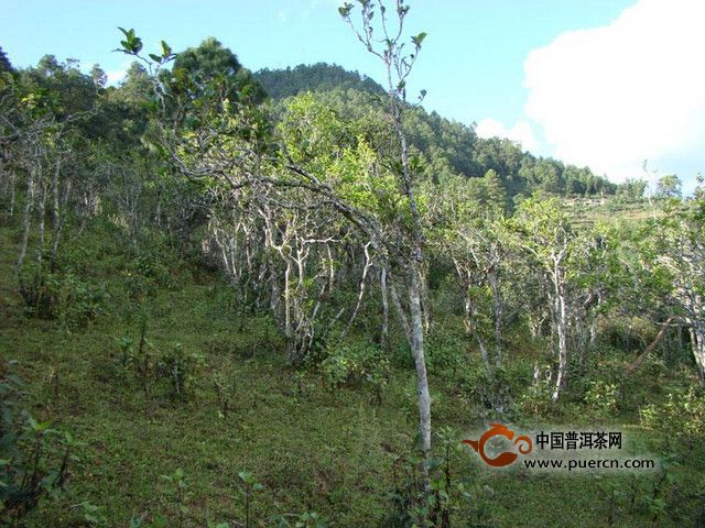 介牌村村情概況