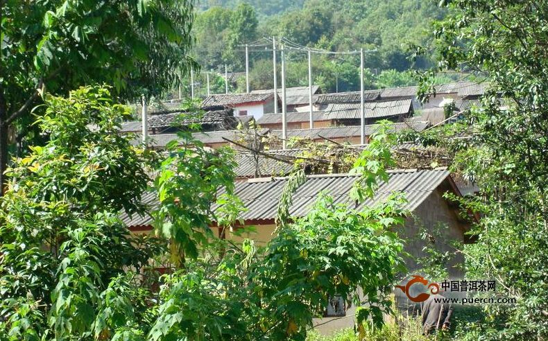 河邊寨自然村概述--普洱茶產(chǎn)地