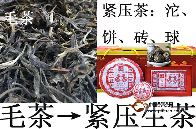 毛茶變成緊茶