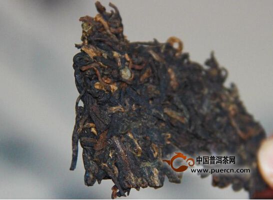 【普洱茶話】普洱茶菜鳥的尋茶秘訣！你絕對想不到