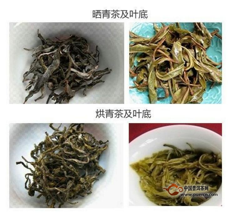 【普洱茶話】一片茶葉的自白