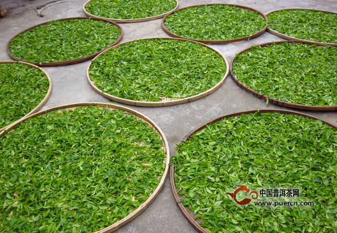 普洱茶市點評：普洱茶繁榮與蕭條，是由什么決定的？其實你并不想知道答案！