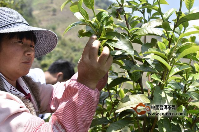 3月29日，尋找真正的冰島味第二季正式開采啦！