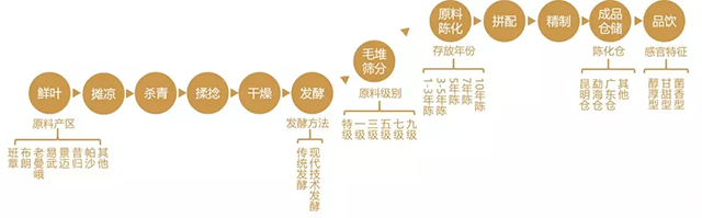 重磅｜中茶熟普PCS分類體系發(fā)布