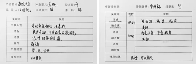 書院熟茶千堆第41期，發(fā)酵程度輕，會呈現(xiàn)怎樣的口感？