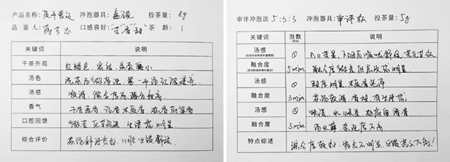 書院熟茶千堆第60期賀開曼邁：與茶相生，褪去繁雜，盡顯純凈