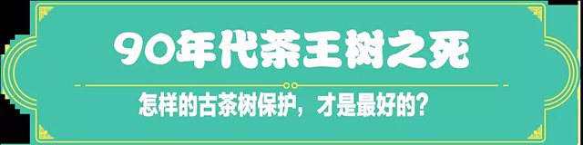 吉普號茶山黑話176:陸羽《茶經》中，為何只字不提云南？