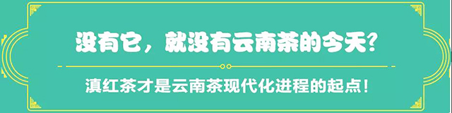 吉普號茶山黑話178：62年前，這里的茶竟被拍賣出世界最高價？