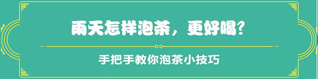 吉普號茶山黑話185：雨天泡茶香氣弱？三招教你救回它